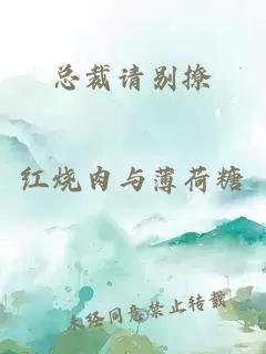 总裁请别撩