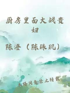 厨房里面大战贵妇