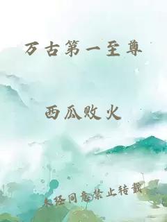 万古第一至尊