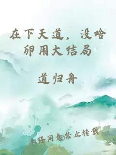 在下天道，没啥卵用大结局