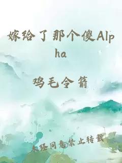 嫁给了那个傻Alpha