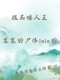 极品矮人王
