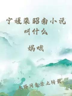 宁媛荣昭南小说叫什么