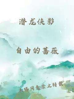 潜龙侠影