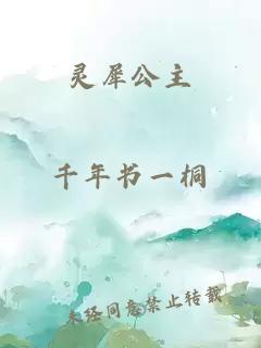 灵犀公主