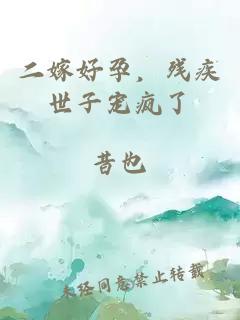 二嫁好孕，残疾世子宠疯了