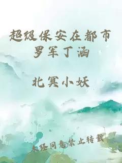 超级保安在都市罗军丁涵