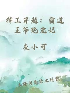 特工穿越：霸道王爷绝宠妃