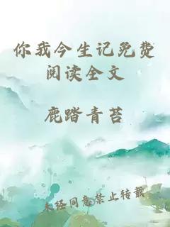 你我今生记免费阅读全文