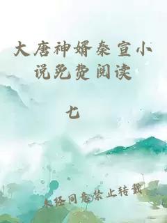 大唐神婿秦宣小说免费阅读