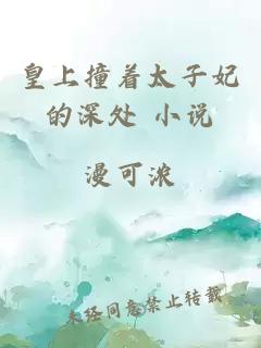 皇上撞着太子妃的深处 小说