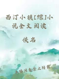 西汀小镇[综]小说全文阅读