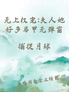 无上权宠:夫人她好多马甲无弹窗