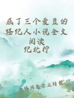 成了三个爱豆的经纪人小说全文阅读