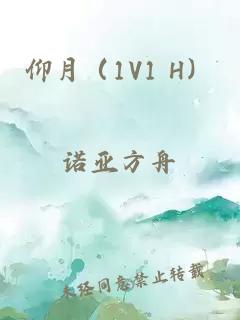 仰月（1V1 H）