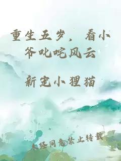 重生五岁，看小爷叱咤风云