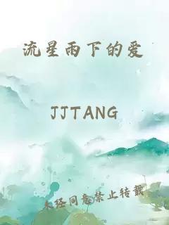 流星雨下的爱