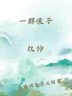 一群傻子