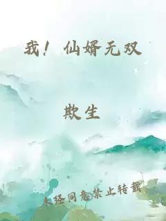 我！仙婿无双