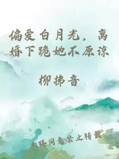 偏爱白月光，离婚下跪她不原谅