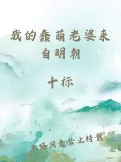 我的蠢萌老婆来自明朝