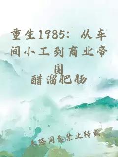 重生1985：从车间小工到商业帝国
