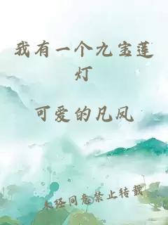 我有一个九宝莲灯