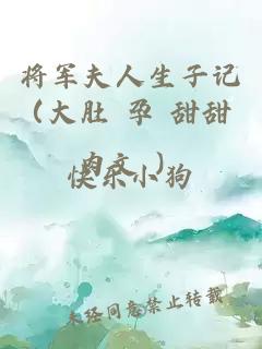 将军夫人生子记（大肚 孕 甜甜 肉文 ）