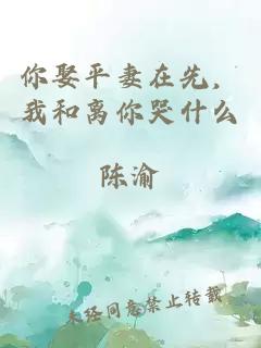 你娶平妻在先，我和离你哭什么