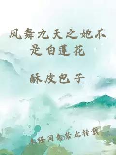 凤舞九天之她不是白莲花