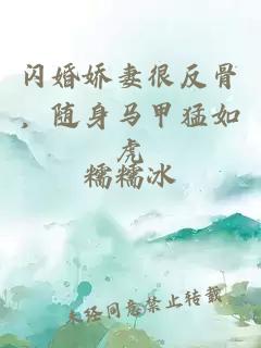 闪婚娇妻很反骨，随身马甲猛如虎
