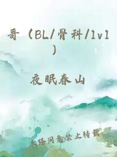 哥（BL/骨科/1v1）