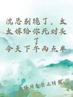 沈总别跪了，太太嫁给你死对头了