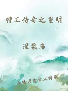 特工传奇之重明