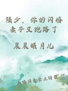 陆少，你的闪婚妻子又跑路了