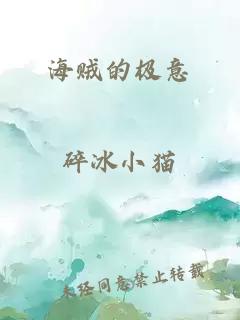 海贼的极意