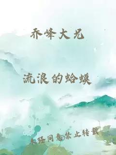 乔峰大兄